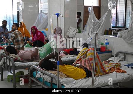 Dacca, Bangladesh. 11 novembre 2024. I pazienti affetti da febbre dengue ricevono un trattamento all'interno del "Shaheed Suhrawardy" Medical collega Hospital di Dhaka, Bangladesh, l'11 novembre 2024. Dal 1° gennaio 2024 all'11 novembre 2024, un totale di 75.142 persone sono state colpite dalla dengue. Almeno 310 persone sono morte nel peggiore focolaio di dengue del Bangladesh mai registrato, hanno detto i funzionari l'11 novembre, mentre gli ospedali sovraccarichi lottano per curare migliaia di pazienti. Crediti: Mamunur Rashid/Alamy Live News Foto Stock