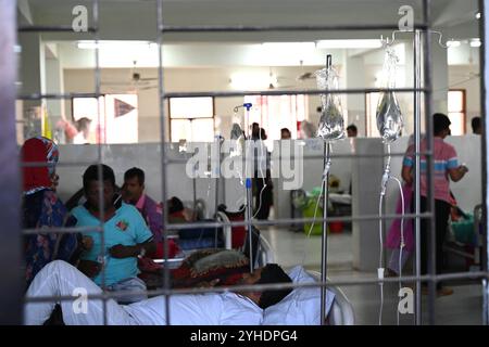 Dacca, Bangladesh. 11 novembre 2024. I pazienti affetti da febbre dengue ricevono un trattamento all'interno del "Shaheed Suhrawardy" Medical collega Hospital di Dhaka, Bangladesh, l'11 novembre 2024. Dal 1° gennaio 2024 all'11 novembre 2024, un totale di 75.142 persone sono state colpite dalla dengue. Almeno 310 persone sono morte nel peggiore focolaio di dengue del Bangladesh mai registrato, hanno detto i funzionari l'11 novembre, mentre gli ospedali sovraccarichi lottano per curare migliaia di pazienti. Crediti: Mamunur Rashid/Alamy Live News Foto Stock