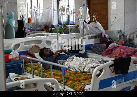 Dacca, Bangladesh. 11 novembre 2024. I pazienti affetti da febbre dengue ricevono un trattamento all'interno del "Shaheed Suhrawardy" Medical collega Hospital di Dhaka, Bangladesh, l'11 novembre 2024. Dal 1° gennaio 2024 all'11 novembre 2024, un totale di 75.142 persone sono state colpite dalla dengue. Almeno 310 persone sono morte nel peggiore focolaio di dengue del Bangladesh mai registrato, hanno detto i funzionari l'11 novembre, mentre gli ospedali sovraccarichi lottano per curare migliaia di pazienti. Crediti: Mamunur Rashid/Alamy Live News Foto Stock