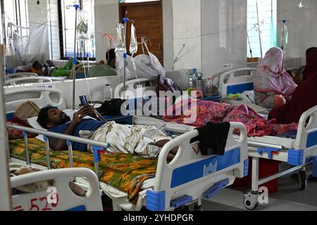 Dacca, Bangladesh. 11 novembre 2024. I pazienti affetti da febbre dengue ricevono un trattamento all'interno del "Shaheed Suhrawardy" Medical collega Hospital di Dhaka, Bangladesh, l'11 novembre 2024. Dal 1° gennaio 2024 all'11 novembre 2024, un totale di 75.142 persone sono state colpite dalla dengue. Almeno 310 persone sono morte nel peggiore focolaio di dengue del Bangladesh mai registrato, hanno detto i funzionari l'11 novembre, mentre gli ospedali sovraccarichi lottano per curare migliaia di pazienti. Crediti: Mamunur Rashid/Alamy Live News Foto Stock