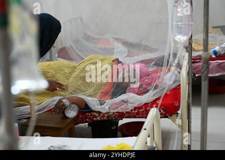 Dacca, Bangladesh. 11 novembre 2024. I pazienti affetti da febbre dengue ricevono un trattamento all'interno del "Shaheed Suhrawardy" Medical collega Hospital di Dhaka, Bangladesh, l'11 novembre 2024. Dal 1° gennaio 2024 all'11 novembre 2024, un totale di 75.142 persone sono state colpite dalla dengue. Almeno 310 persone sono morte nel peggiore focolaio di dengue del Bangladesh mai registrato, hanno detto i funzionari l'11 novembre, mentre gli ospedali sovraccarichi lottano per curare migliaia di pazienti. Crediti: Mamunur Rashid/Alamy Live News Foto Stock