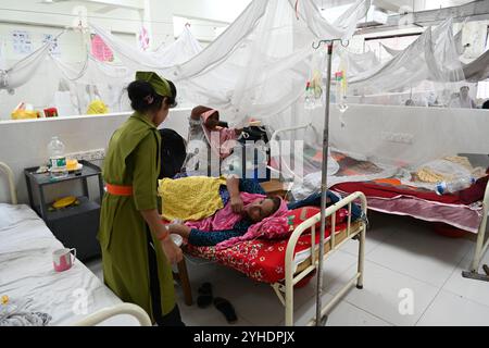 Dacca, Bangladesh. 11 novembre 2024. L'infermiera tratta un paziente coperto di zanzariere affette da febbre dengue riposa all'interno dell'ospedale medico "Shaheed Suhrawardy" di Dhaka, Bangladesh, l'11 novembre 2024. Dal 1° gennaio 2024 all'11 novembre 2024, un totale di 75.142 persone sono state colpite dalla dengue. Almeno 310 persone sono morte nel peggiore focolaio di dengue del Bangladesh mai registrato, hanno detto i funzionari l'11 novembre, mentre gli ospedali sovraccarichi lottano per curare migliaia di pazienti. Crediti: Mamunur Rashid/Alamy Live News Foto Stock