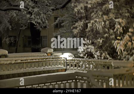 Tempesta di neve con forte vento, nevicate e foglie ancora intatte sugli alberi, Sofia, Bulgaria Foto Stock