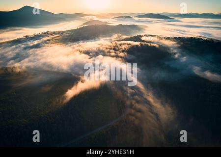Vista aerea dei serpenti tortuosi della strada attraverso la fitta foresta ricoperta di nebbia alla luce del mattino presto. Lussureggianti alberi verdi con strati di nebbia che creano un'atmosfera da sogno mentre le montagne si innalzano sullo sfondo. Foto Stock