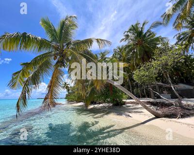 Hotel COMO Maalifushi sull'atollo Thaa delle Maldive nell'Oceano Indiano a male, Maldive, 10 agosto 2024. Fotografo: Michaela Strassmair / Peter Schatz Pressefoto Foto Stock