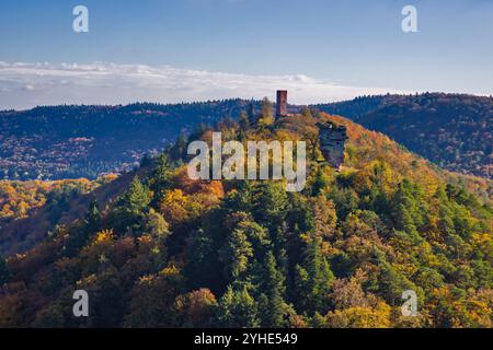 ammira la colorata foresta mista autunnale e le colline del palatinato meridionale alla luce del sole pomeridiano Foto Stock