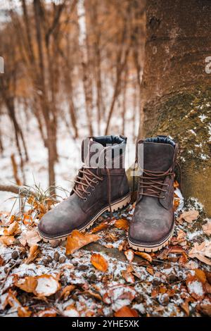 Stivali da trekking impermeabili in pelle nel bosco autunnale. Eleganti scarpe marroni alla caviglia Foto Stock