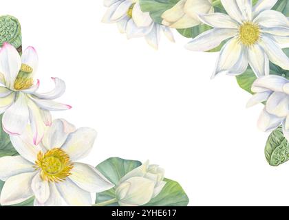 Le ninfee bianche fiori con gemme, foglie acquerello bordo orizzontale. Illustrazione di loto in fiore in stile realistico. Cornice per biglietto d'auguri Foto Stock