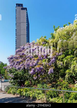 Regno Unito, South Yorkshire, Sheffield, St Pauls Tower. Foto Stock