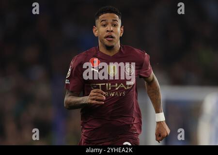 Brighton e Hove, Regno Unito. 9 novembre 2024. Savinho del Manchester City durante la partita di Premier League all'AMEX Stadium, Brighton e Hove. Il credito per immagini dovrebbe essere: Paul Terry/Sportimage Credit: Sportimage Ltd/Alamy Live News Foto Stock