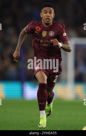 Brighton e Hove, Regno Unito. 9 novembre 2024. Savinho del Manchester City durante la partita di Premier League all'AMEX Stadium, Brighton e Hove. Il credito per immagini dovrebbe essere: Paul Terry/Sportimage Credit: Sportimage Ltd/Alamy Live News Foto Stock