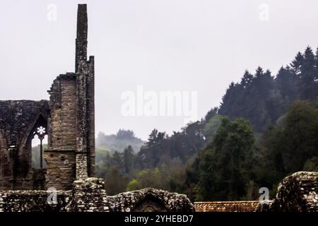 Al mattino presto in Galles con le rovine dell'abbazia di Tintern in primo piano e la foresta avvolta dalla nebbia sullo sfondo Foto Stock