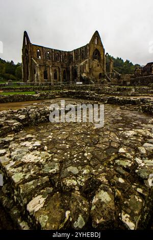 Le rovine dell'abbazia di Tintern con i resti della chiesa sullo sfondo. Foto Stock