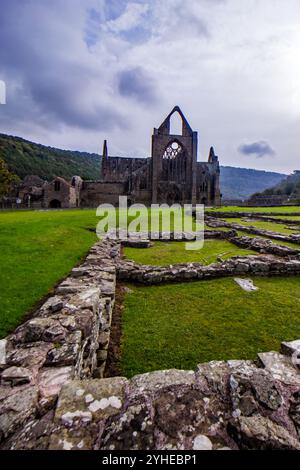 Le maestose rovine dell'abbazia di Tintern, Galles, con i resti della chiesa sullo sfondo Foto Stock