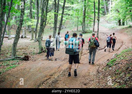 I turisti scalano la montagna lungo la strada forestale Foto Stock