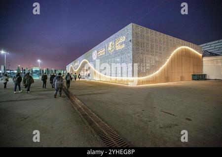 Baku, Azerbaigian, Azerbaigian. 10 novembre 2024. Un edificio d'ingresso principale con un'ondata di luci e il logo della COP29 la mattina dell'apertura a Baku, Azerbaigian. Si ritiene che il COP di quest'anno sia uno dei più complessi della sua storia, poiché il mondo si occupa dell'anno elettorale, delle guerre in corso in tutto il mondo, rendendo i negoziati più cruciali per determinare il progresso mondiale verso un futuro sostenibile e resiliente al clima. (Credit Image: © Bianca Otero/ZUMA Press Wire) SOLO PER USO EDITORIALE! Non per USO commerciale! Foto Stock