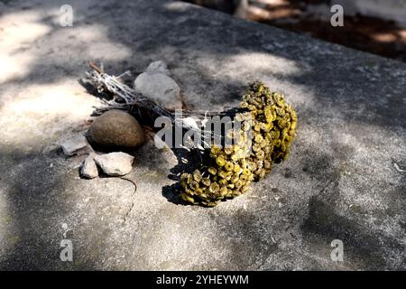 Fiori secchi su lapide nel vecchio cimitero di Les Baux-de-Provence nel dipartimento di Bouches-du-Rhône nella regione Provence-Alpes-Côte d'Azur in Foto Stock