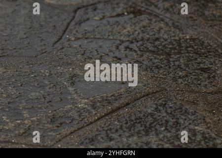 Foto macro che cattura la texture e i motivi dettagliati di una superficie bagnata, evidenziando gli effetti scintillanti dell'acqua su pietre ruvide e irregolari Foto Stock