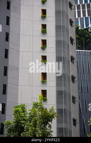 Edificio abitativo di 8 Robinson Singapore con finestre e aree aperte che aiutano a raffreddare gli edifici e a riscaldare il pianeta. Foto Stock