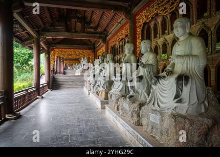 Statue di Arhats che costeggiano un corridoio tradizionale nel complesso della Pagoda Bai Dinh, Ninh Binh, Vietnam, con una complessa architettura. Foto Stock