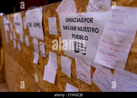 Catarroja, Spagna. 10 novembre 2024. Messaggi di sostegno e di speranza si vedono su un muro. Più di 200 persone sono state uccise in inondazioni improvvise che hanno colpito l'area intorno a Valencia, in particolare le città di Paiporta, Sedavì e Benatusser, in quella che è considerata la peggiore catastrofe naturale della storia spagnola e una delle peggiori della storia europea. Le inondazioni sono state causate da un fenomeno atmosferico noto come Dana. Sono sorte controversie circa la lenta risposta dei servizi di emergenza e del governo. Credito: SOPA Images Limited/Alamy Live News Foto Stock