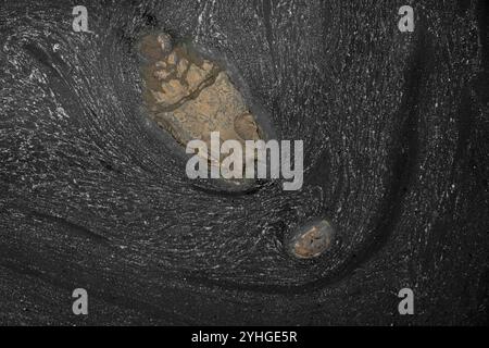 Vista dall'alto della testa di coccodrillo o caimano circondata. per effetto di campitura della superficie d'acqua. Foto Stock