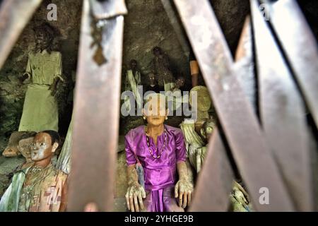 Effigi in legno all'interno di una grotta in un tradizionale sito di sepoltura nel villaggio di Kete Kesu, Tana Toraja, Sulawesi meridionale, Indonesia. Foto Stock