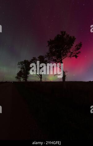 Quattro alberi fiancheggiano una strada tranquilla sotto l'ipnotico aurora boreale, con le luci colorate che proiettano un magico bagliore sul tranquillo paesaggio. Foto Stock