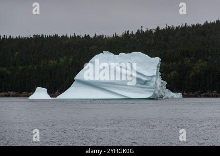 Un enorme iceberg galleggia serenamente nell'acqua, incorniciato da alberi sullo sfondo, evidenziando la bellezza incontaminata e ghiacciata del paesaggio artico. Foto Stock