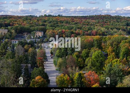 Ontario - Huntsville dal Lion's Lookout in autunno Foto Stock