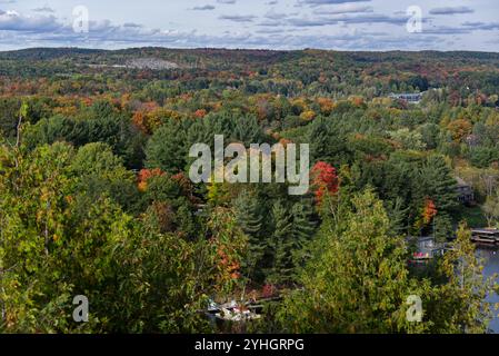 Ontario - Vista dal Lion's Lookout in autunno Foto Stock