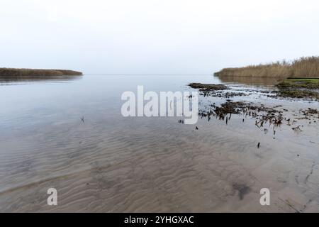 Una vista tranquilla della laguna di Szczecin a novembre, che mostra le sue acque limpide e poco profonde, le coste della reedy e l'atmosfera serena sotto un cielo nuvoloso. Foto Stock