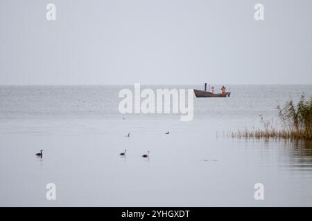 Una tranquilla scena allo Stettiner Haff a novembre, che mostra una piccola barca da pesca circondata da uccelli acquatici sulla tranquilla laguna. Foto Stock