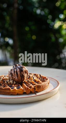 Waffle con sciroppo di gelato al cioccolato Foto Stock