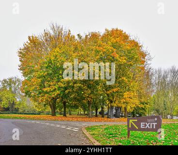 Segnale di uscita accanto a una macchia di alberi al parco acquatico Rutland, Inghilterra, in un giorno di tardo autunno. Foto Stock