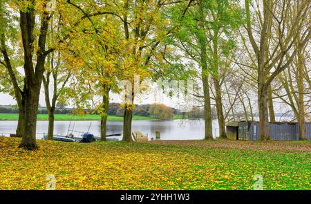 Parco acquatico Rutland Water, Inghilterra, in un tardo autunno. Foto Stock