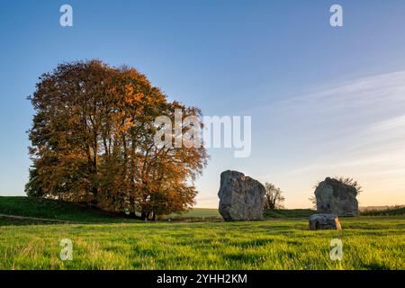 Avebury in piedi pietre e alberi in autunno. Wiltshire, Inghilterra Foto Stock