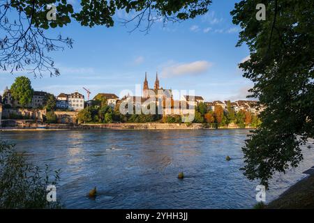Basilea, Svizzera - skyline della città con la città vecchia e il fiume Reno, incorniciato dagli alberi sull'altra sponda. Foto Stock
