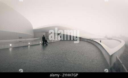 Copenaghen, Danimarca - Blue Planet National Aquarium (Den Blå Planet) di 3XN, in nebbia Foto Stock