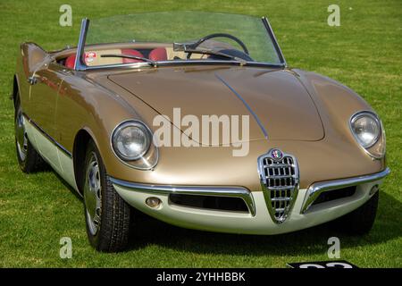 Classico ragno romeo giulietta, con finitura oro e dettagli bianchi, collocato su un prato verdeggiante, sfoggia un design senza tempo Foto Stock