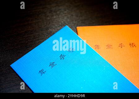 2 opuscoli pensionistici Foto Stock