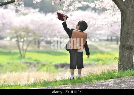 Ragazzo di prima elementare sotto l'albero dei ciliegi in fiore Foto Stock