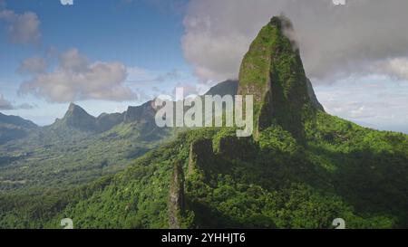 Picchi e creste di montagna ricoperte da una fitta foresta pluviale verde sull'isola tropicale di Moorea nella Polinesia francese. Paradiso naturale remoto, esotici viaggi estivi di lusso. Vista aerea drone volo zoom avanti Foto Stock