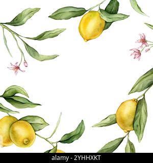 Cornice quadrata di frutta al limone e fiore rosa. Illustrazione ad acquerello disegnata a mano del bordo con rami di agrumi su sfondo bianco isolato. Disegno Foto Stock