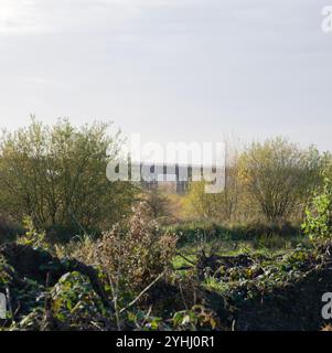 Viadotto Bennerley vicino a Ilkeston, Derbyshire, una struttura vittoriana in ferro battuto oggi conservata come sentiero pedonale Foto Stock