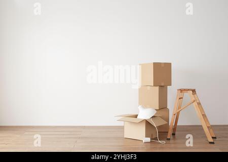 Pile di scatole di cartone e scala di legno Foto Stock