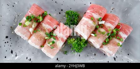 Fetta di pancia di kagoshima kurobuta di prima qualità ​​pork servita su un piatto di ceramica, marinata in sale e pepe. Vista dall'alto Foto Stock