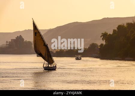 Feluca (tradizionale barca a vela egiziana) sul fiume Nilo al tramonto ad Assuan, Egitto Foto Stock