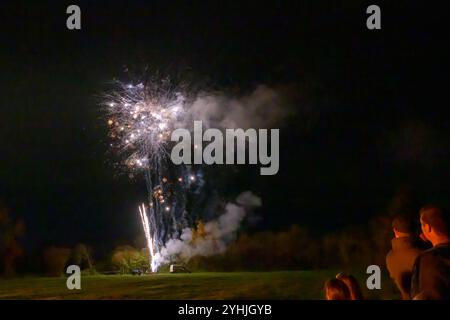 Fuochi d'artificio che esplodono contro un cielo nero d'inverno Foto Stock
