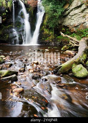 Cascata Posforth Gill a Posforth Gill a Bolton Abbey, North Yorkshire, Inghilterra Foto Stock